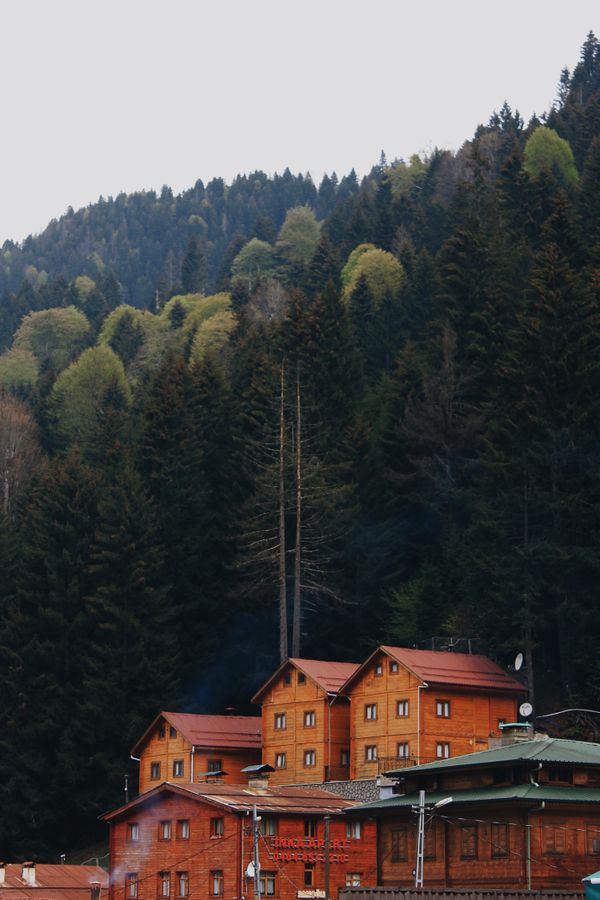 cottages in georgia mountains
